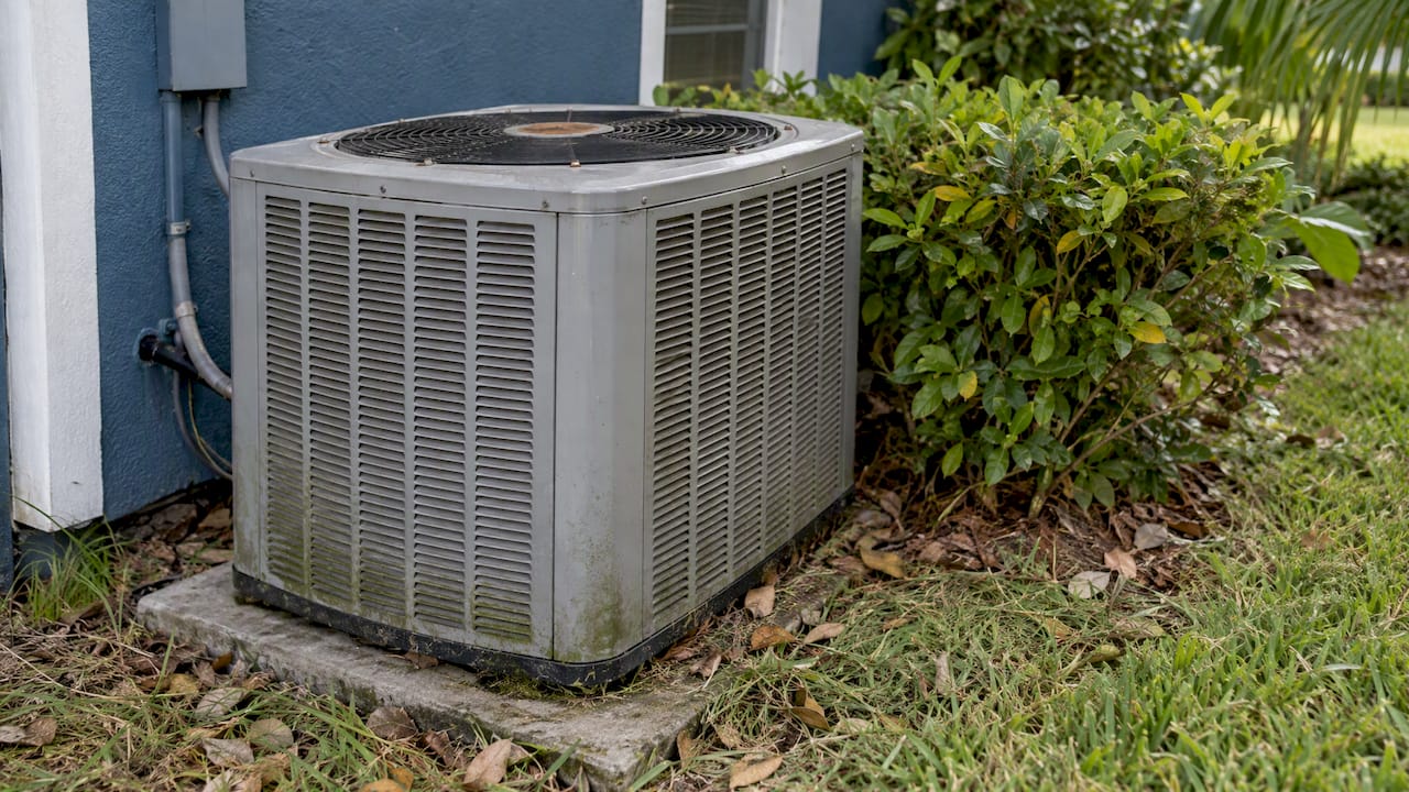 Outdoor condenser with leaves and nearby landscaping