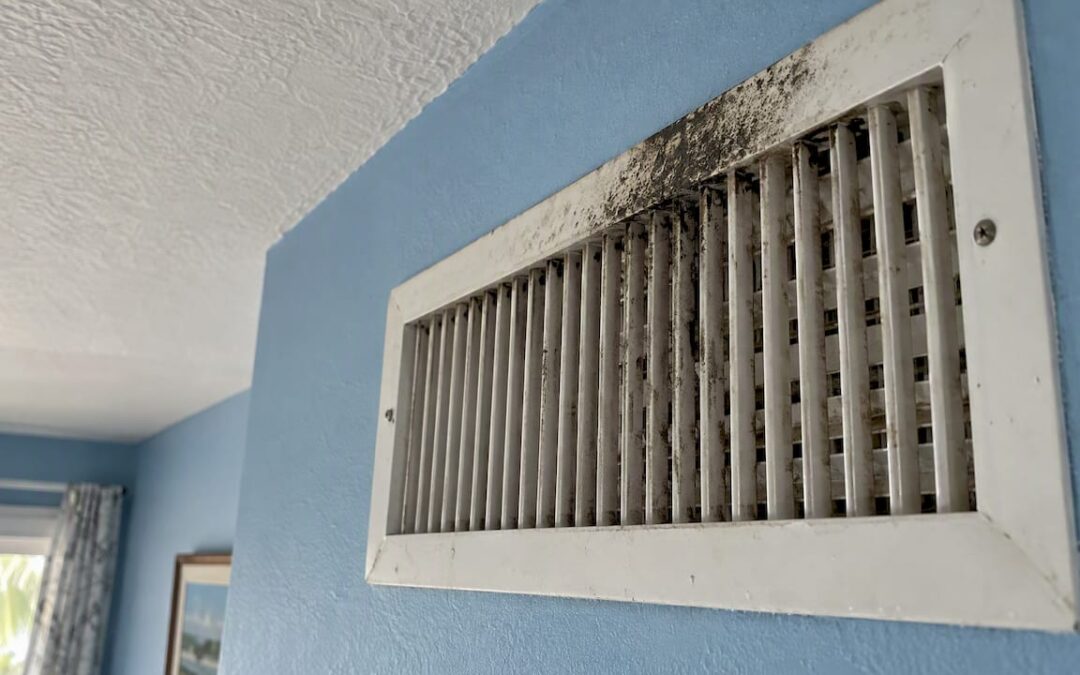 Mold visible around a home air vent